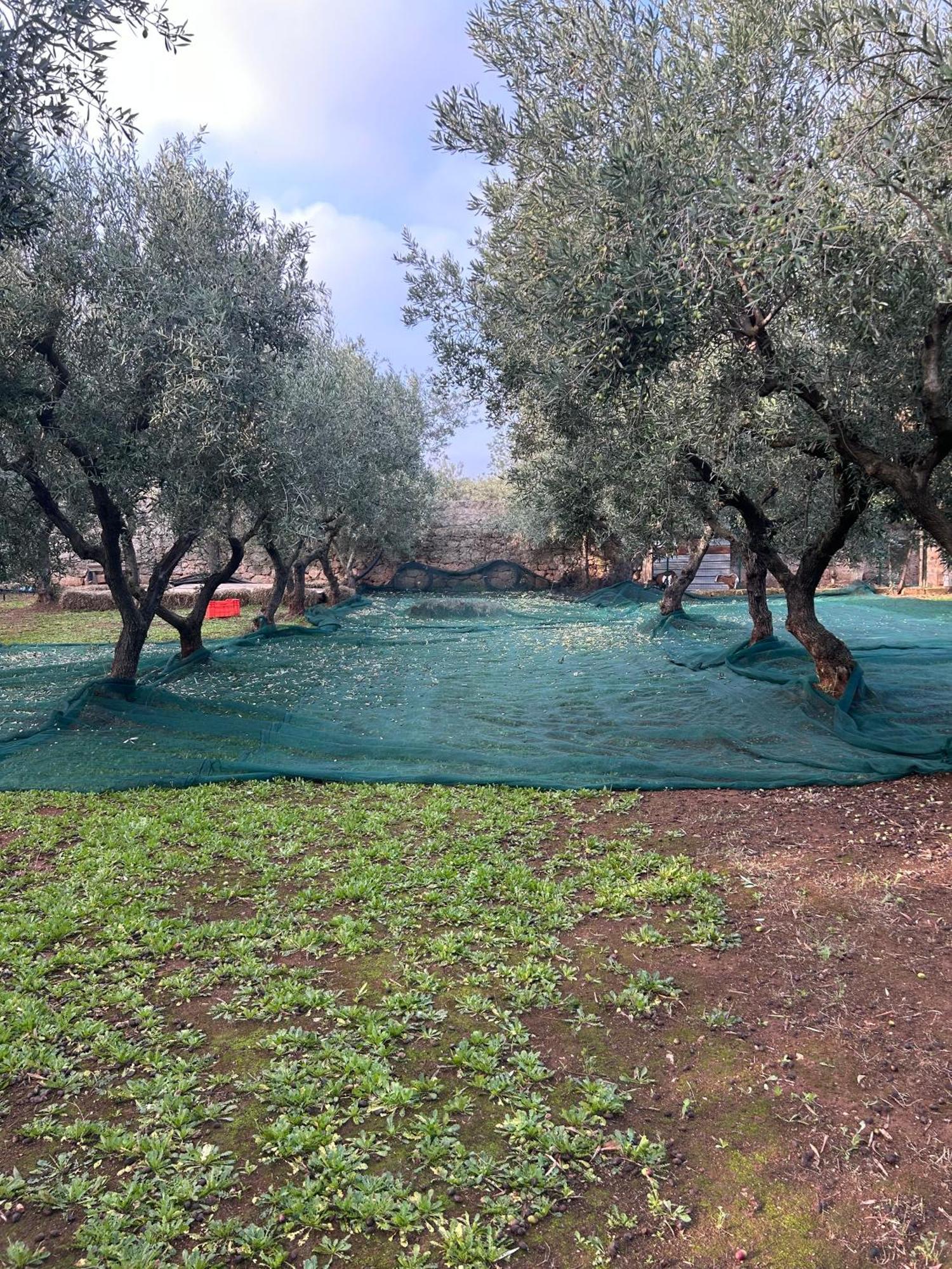 Sorelle Barnaba Country House Monopoli Kültér fotó